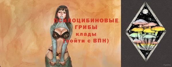 кокс Аркадак