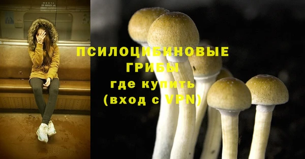 кокс Аркадак
