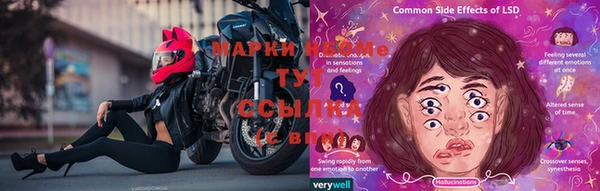 кокс Аркадак