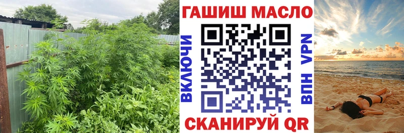 ТГК вейп  даркнет сайт  Судогда 